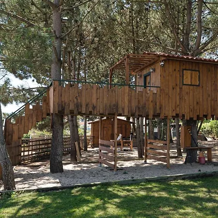Pinhal Da Colmeia - Pool, Tree House And Games Holiday home Silveira (Lisbon)